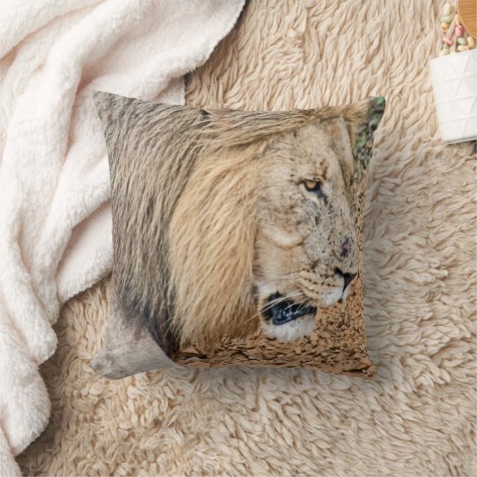 アフリカライオン クッション (ブランケット)