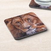 アフリカライオン コースター (左側)