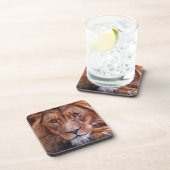 アフリカライオン コースター (右側)