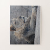 アフリカライオン ジグソーパズル (縦)