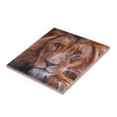 アフリカライオン タイル (側面)