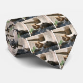 アフリカライオン ネクタイ (ロール)