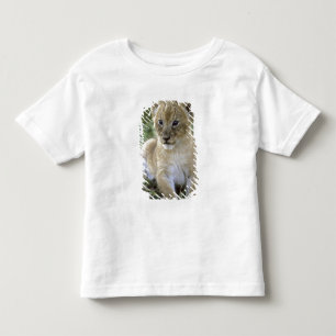 アフリカライオン、パンセラ・レオ)、タンザニア、 トドラーTシャツ