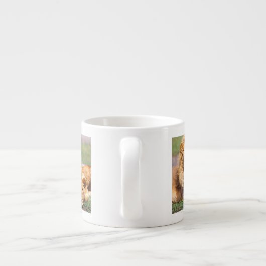 アフリカライオン、パンテラレオ、タンザニア エスプレッソカップ (裏面)