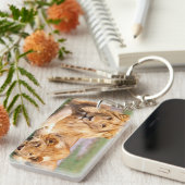 アフリカライオン、パンテラレオ、タンザニア キーホルダー (正面右)