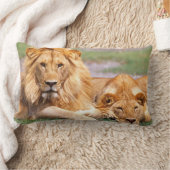 アフリカライオン、パンテラレオ、タンザニア ランバークッション (ブランケット)