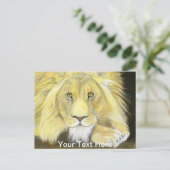 アフリカライオン ポストカード (スタンド正面)