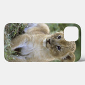アフリカライオン, ライオン属 (Panthera leo), タンザニア, Case-Mate iPhoneケース (裏面 (横))
