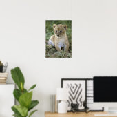 アフリカライオン, ライオン (Panthera leo), タンザニア, ポスター (ホームオフィス)
