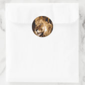 アフリカライオン ラウンドシール (バッグ)