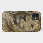 アフリカライオン, Panthera leo, の肖像 Case-Mate iPhoneケース (裏面(横))