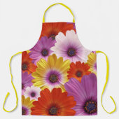アフリカラフルカデイジーのフローラメドレー エプロン (正面)