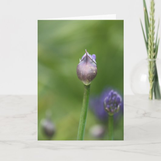 アフリカリリーカード サンキューカード (正面)