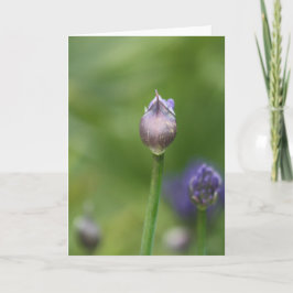 アフリカリリーカード サンキューカード