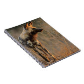 アフリカワイルドドッグ(Lycaon Pictus)、Kruger ノートブック (右側)