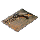 アフリカワイルドドッグ(Lycaon Pictus)、Kruger ノートブック (左側)