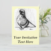 アフリカンオウルピジョン 1978 招待状 (スタンド正面)