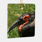 アフリカングラウンドホルンビルオーナメント セラミックオーナメント (右)