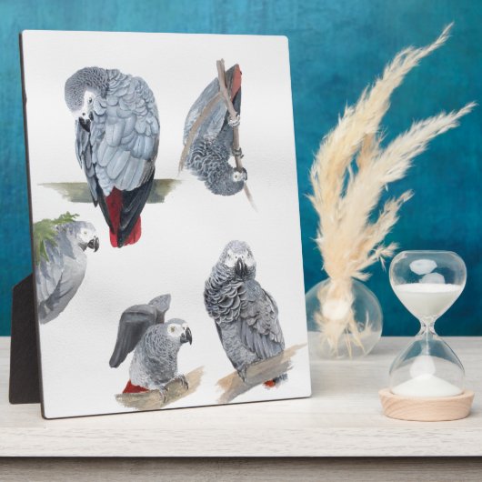 アフリカングレイのオウム。グリ独占的フ設計 フォトプラーク (側面)