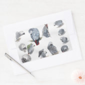 アフリカングレイのオウム。グリ独占的フ設計 長方形シール (封筒)