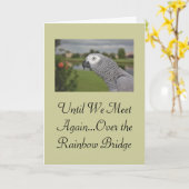 アフリカングレーパロットペット悔やみや弔慰 カード (黄色い花)