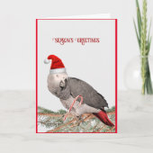 アフリカングレーパロットホリデーカード シーズンカード (正面)