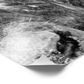 アフリカンケープバッファローポートレートプリント フォトプリント            (角)