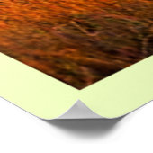 アフリカンサバンナサンセットアート ポスター (角)