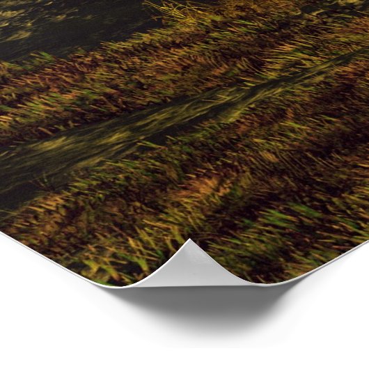 アフリカンサンライズ ポスター (角)