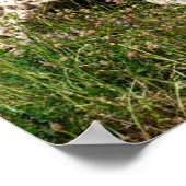 アフリカンチーター歩くオン・グラス ポスター (角)