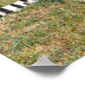 アフリカンチーター歩くオン・グラス ポスター (角)