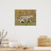 アフリカンチーター歩くオン・グラス ポスター (キッチン)