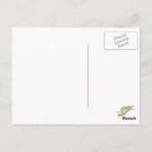 アフリカンデイジー ポストカード (裏面)