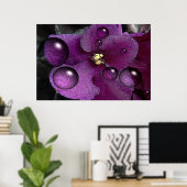 アフリカンバイオレットファンタジー ポスター (ホームオフィス)
