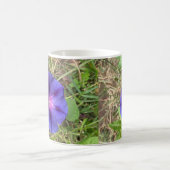 アフリカンバイオレット15オズコーヒーマグ コーヒーマグカップ (中央)