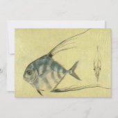 アフリカンパンポの魚、ビンテージのイトヒキアジ (正面)