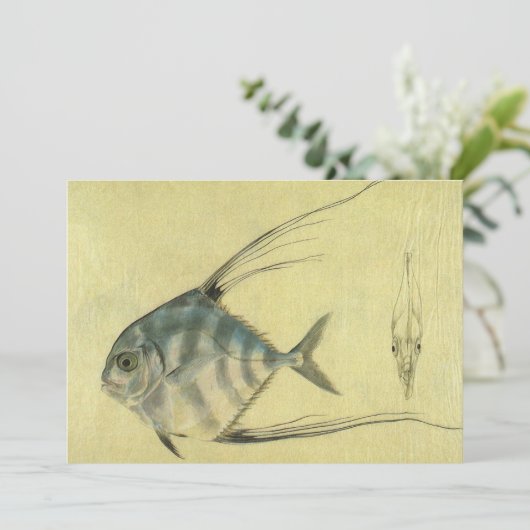 アフリカンパンポの魚、ビンテージのイトヒキアジ (スタンド正面)