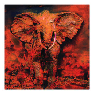 アフリカンヒート – Wild Elephant フォトプリント