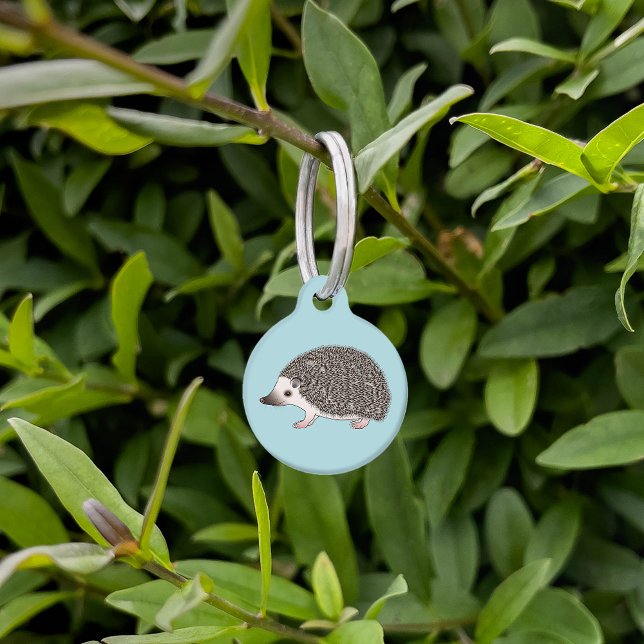 アフリカンピグミーハリネズミかわいい漫画イラストレーション ペット　ネームタグ (クリエイターアップロード済み)