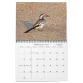 アフリカンフォトサファリ  カレンダー (2月 2027)