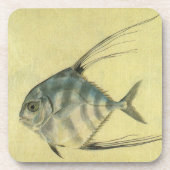 アフリカンポマノウオ、ビンテージ・スレッドフィン・トレヴァリー コースター (正面)