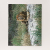 アフリカンライオンジグソーパズル ジグソーパズル (縦)