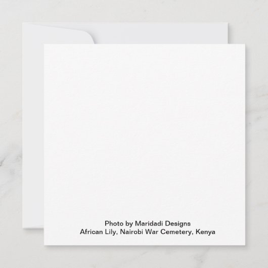 アフリカンリリー (裏面)