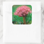 アフリカンリリー（アガパンツス・プラエコックス）、マラマラ・マラ スクエアシール (バッグ)