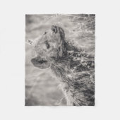 アフリカ人によって斑点を付けられるハイエナ フリースブランケット (正面)