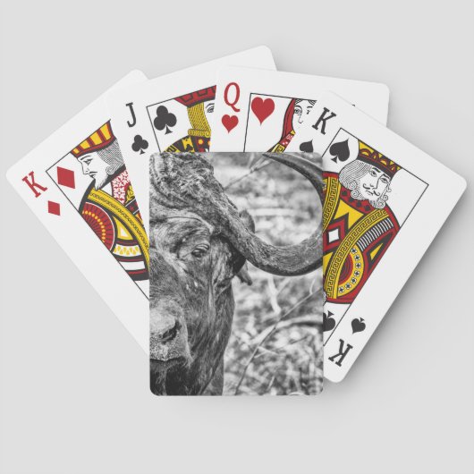 アフリカ人のアフリカスイギュウのポートレートのトランプ トランプ (裏面)