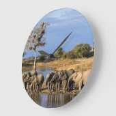 アフリカ人のブッシュ象(Loxodonta Africana)の群れ ラージ壁時計 (傾斜)