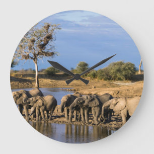 アフリカ人のブッシュ象(Loxodonta Africana)の群れ ラージ壁時計