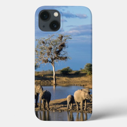 アフリカ人のブッシュ象(Loxodonta Africana) Case-Mate iPhoneケース (裏面)