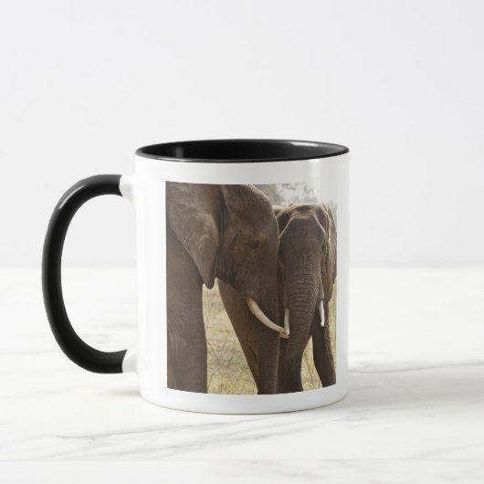 アフリカ人のブッシュ2頭の象(Loxodonta Africana) マグカップ (左)